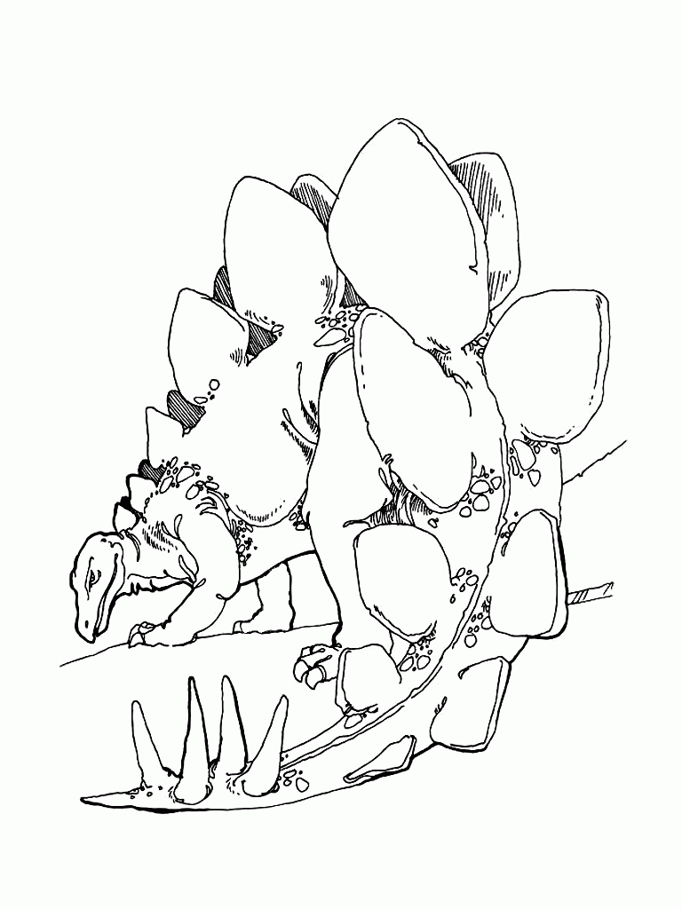 Kolorowanka Dinozaury - Stegozaurus do Druku dla Dzieci kolorowanka do druku